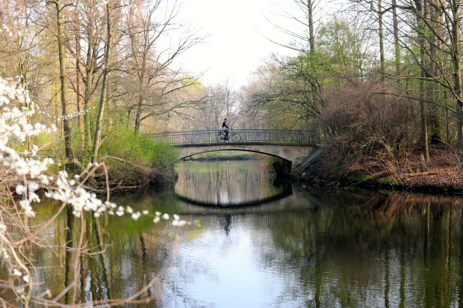 A cyclist crossing a small bridge in Tiergarten
